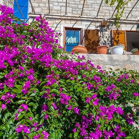 House With A Parking Space Lozisca, Brac - 15444 *